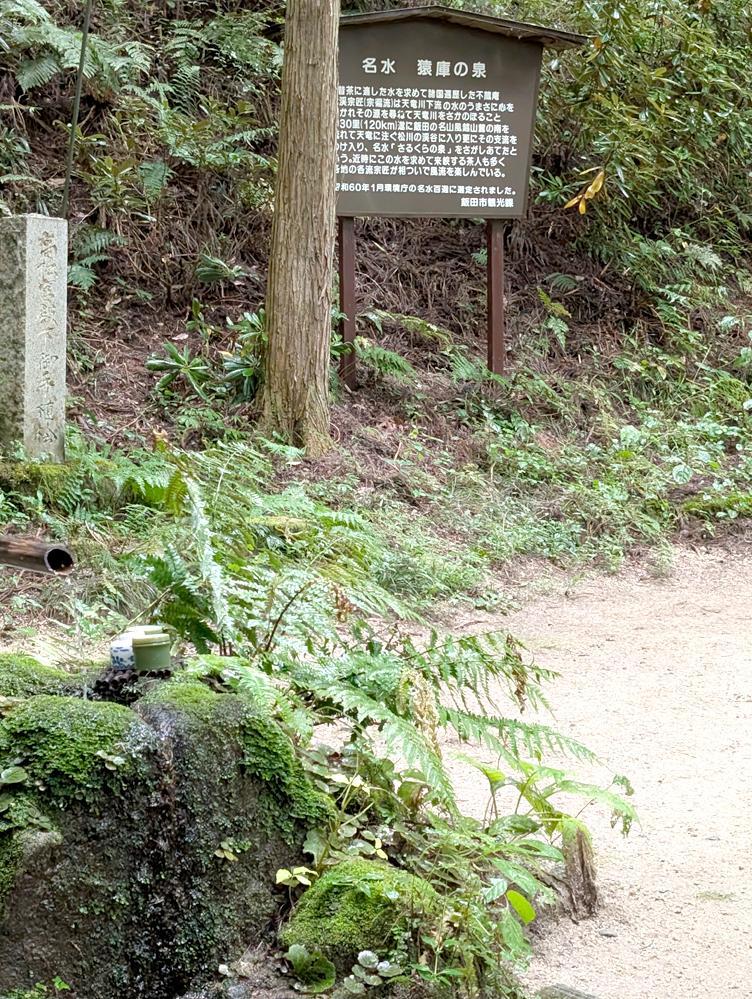 10291_3.jpg (249 KB)