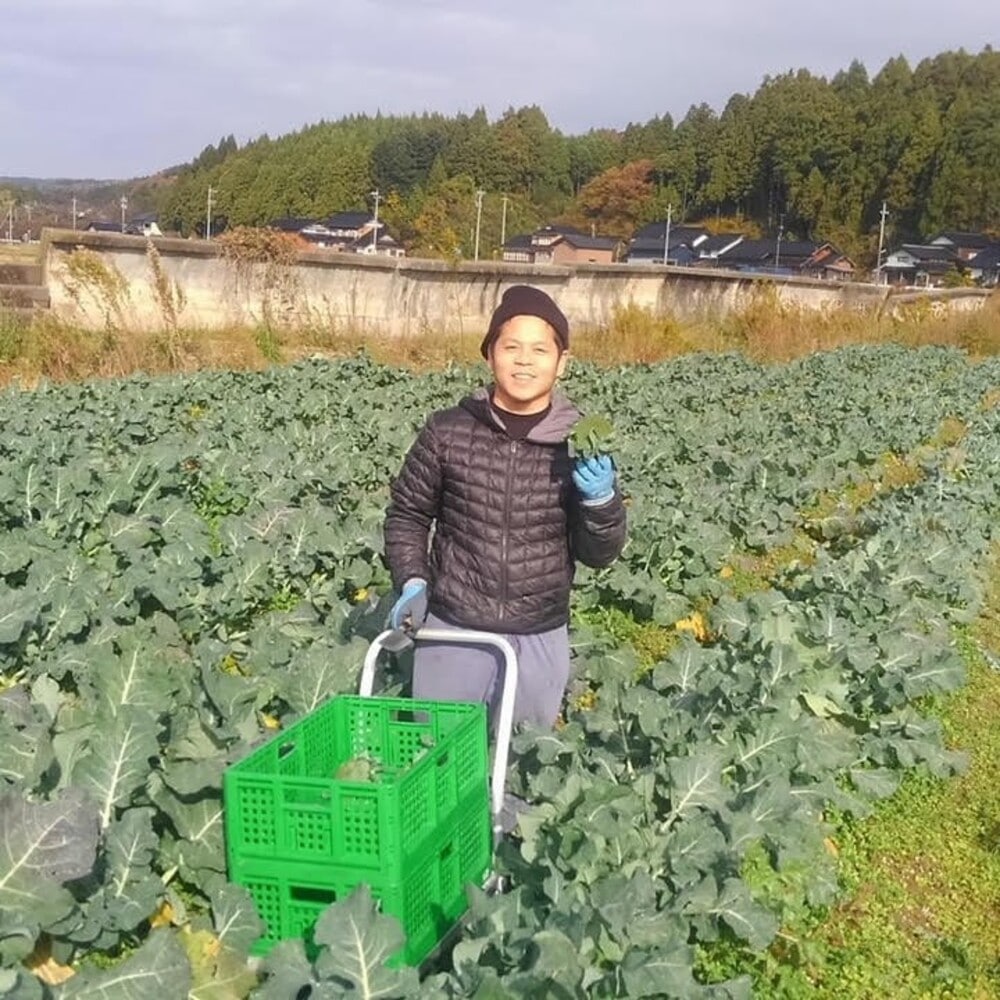 20251110_1.jpg (210 KB)