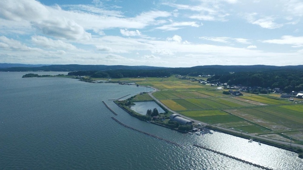 20251110_3.jpg (98 KB)