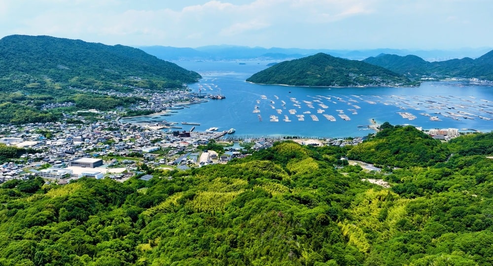 20251113_2.jpg (176 KB)