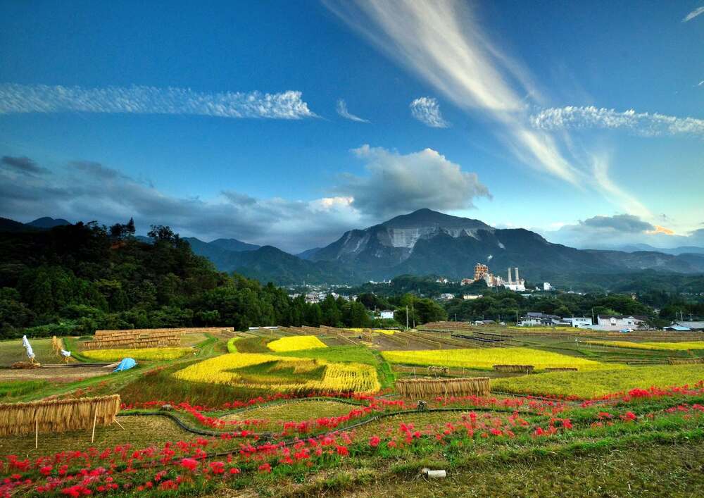 20251205_2.jpg (88 KB)