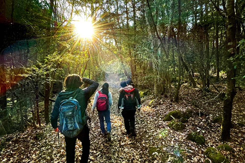 20260204_1.jpg (233 KB)