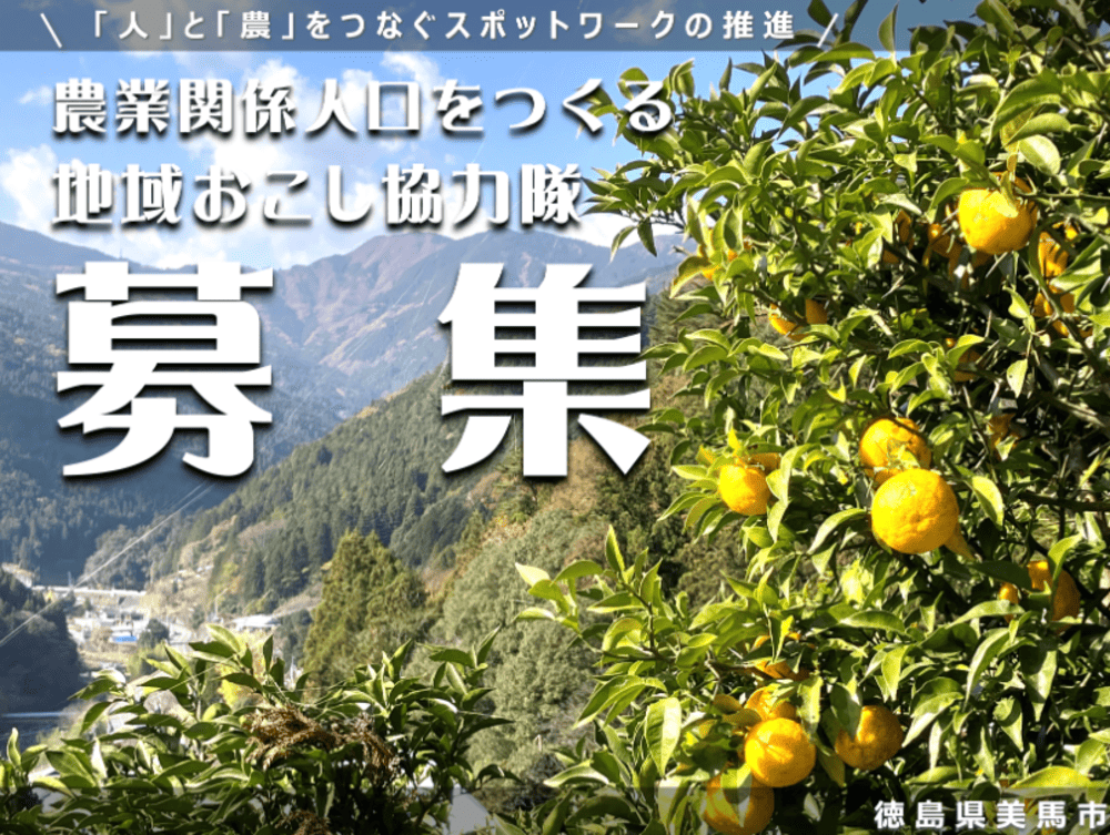 20260331_2.png (404 KB)