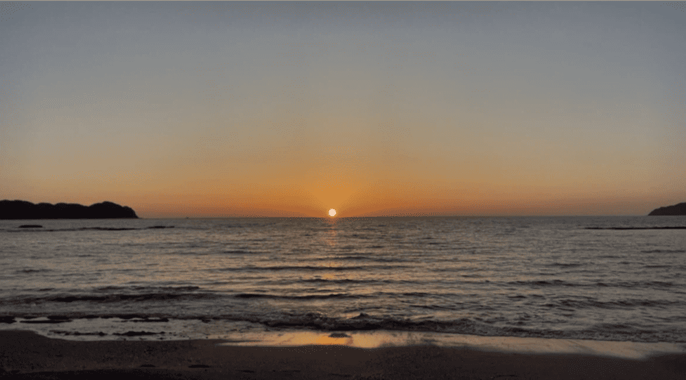 20260619-2_11.png (105 KB)