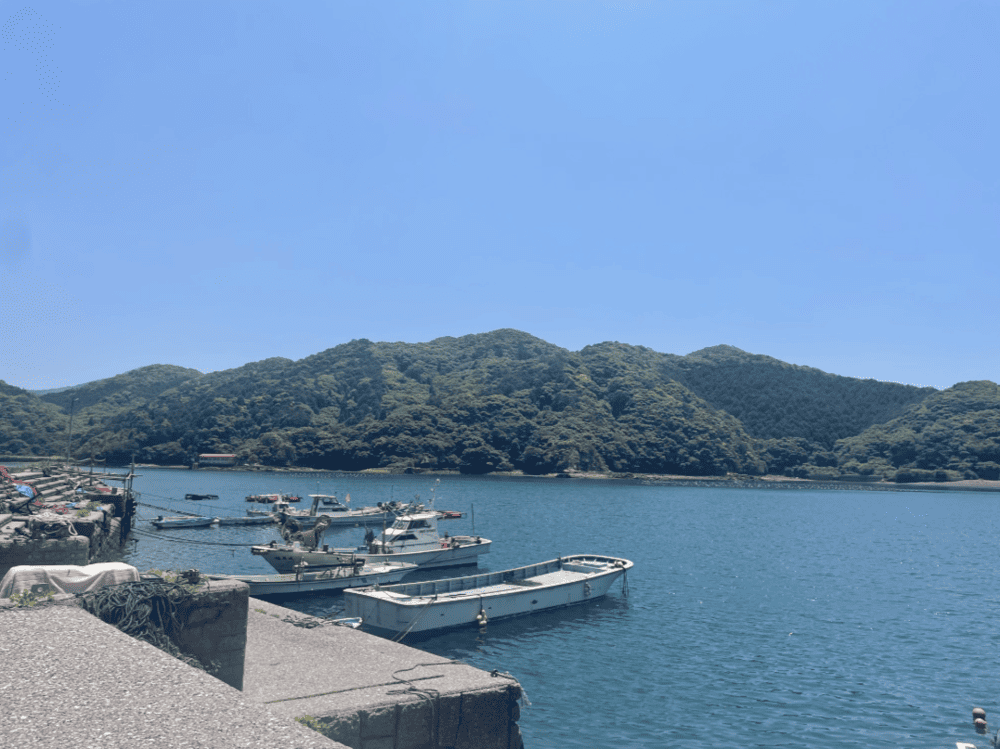 20260619-2_8.png (187 KB)