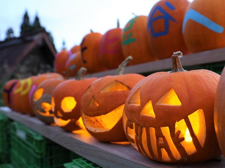 ハロウィンかぼちゃで地域創生に賭ける 富山県の限界集落に移住した 吉田信一郎氏 Glocal Mission Times グローカルミッションタイムズ